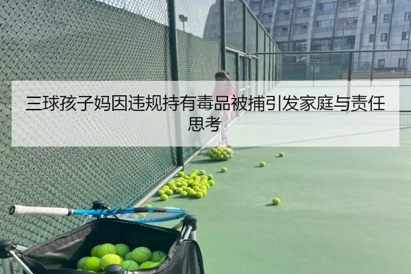 三球孩子妈因违规持有毒品被捕引发家庭与责任思考